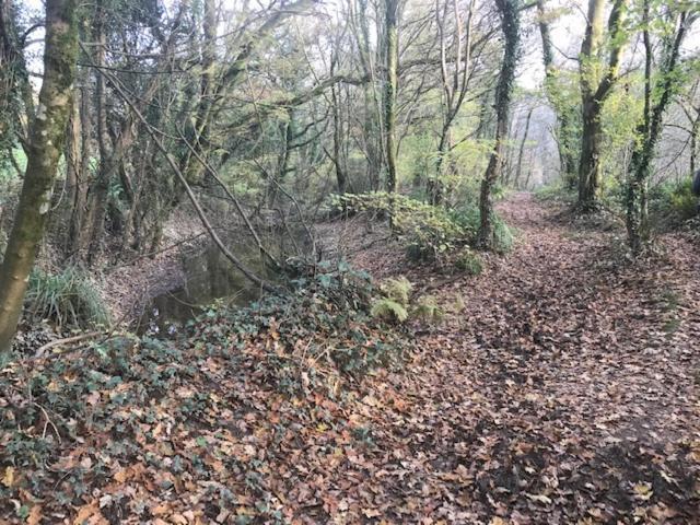 Riverside Stay Gunnislake Zewnętrze zdjęcie