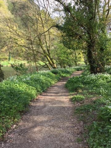 Riverside Stay Gunnislake Zewnętrze zdjęcie