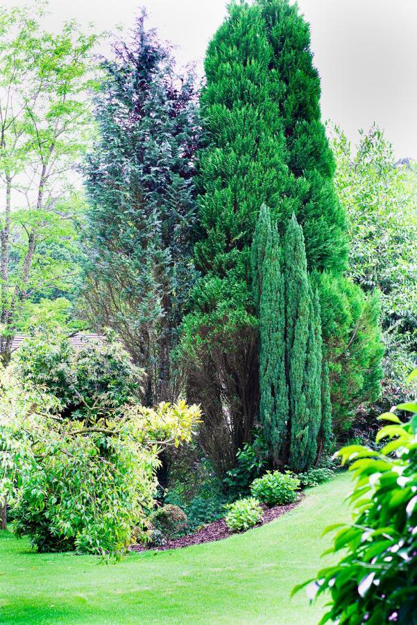 Riverside Stay Gunnislake Zewnętrze zdjęcie